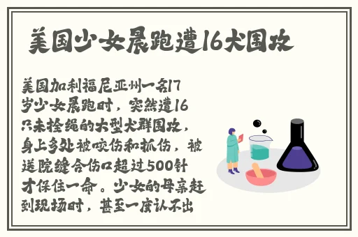 **长征黑料不打烊在线